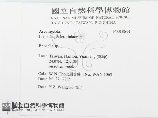 登錄號:F0018644藏品圖，第2張