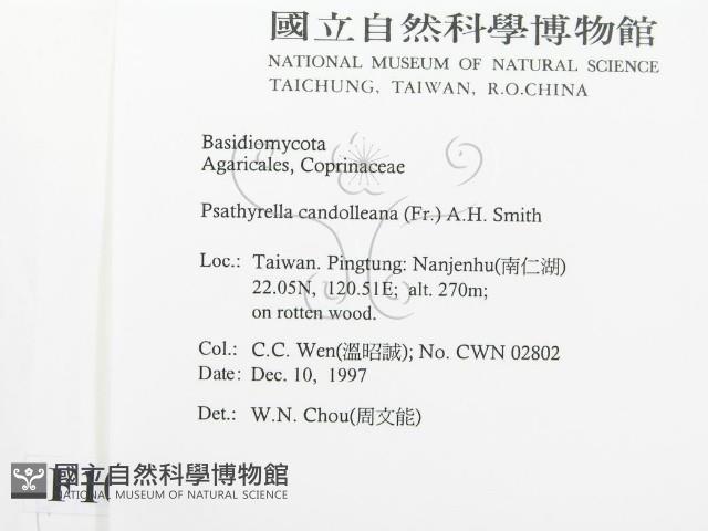 登錄號:F0010644藏品圖，第2張