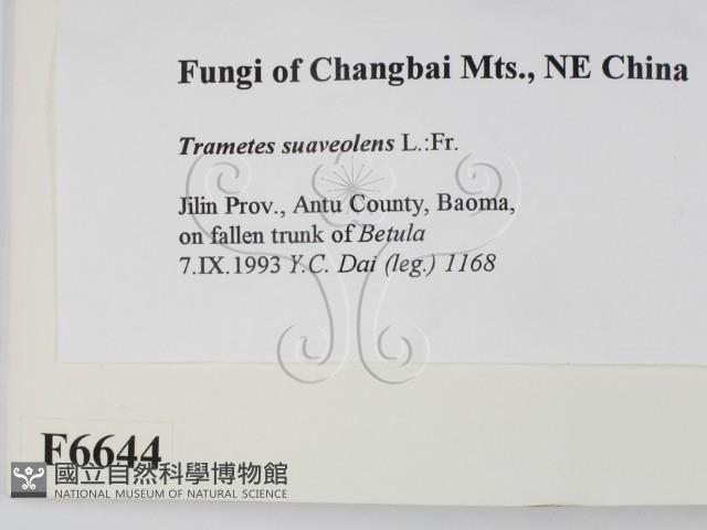 登錄號:F0006644藏品圖，第2張