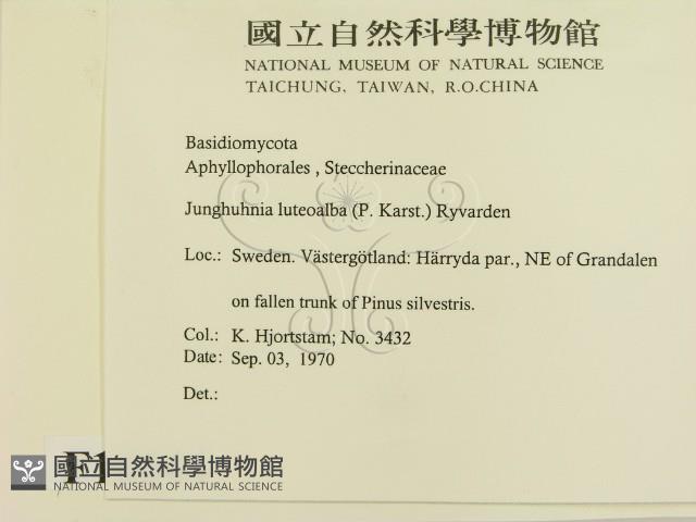 登錄號:F0016644藏品圖，第2張