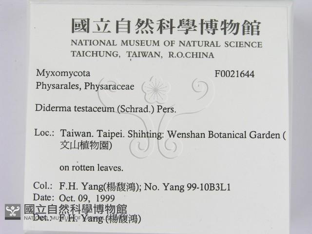登錄號:F0021644藏品圖，第2張