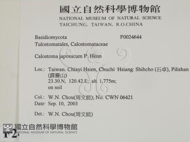 登錄號:F0024644藏品圖，第2張