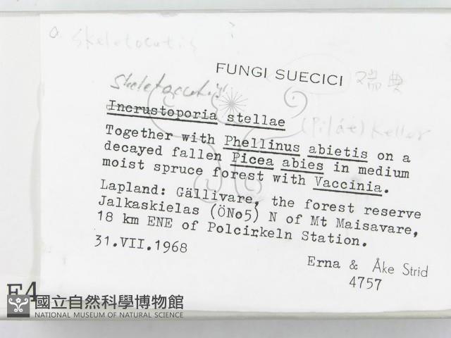 登錄號:F0004644藏品圖，第2張