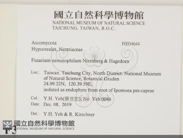 登錄號:F0034644藏品圖，第2張