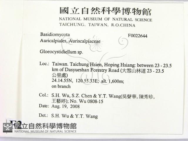 登錄號:F0022644藏品圖，第2張