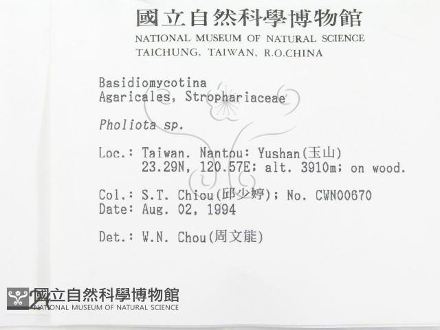 登錄號:F0002644藏品圖，第2張