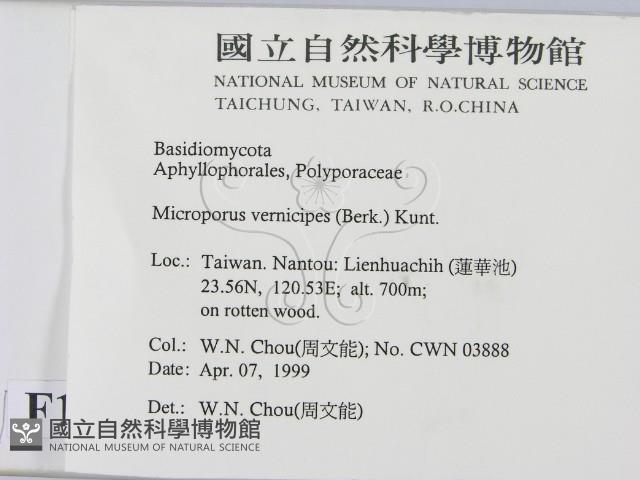 登錄號:F0012644藏品圖，第2張