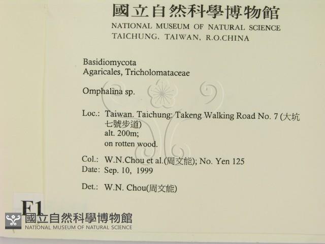 登錄號:F0015644藏品圖，第2張