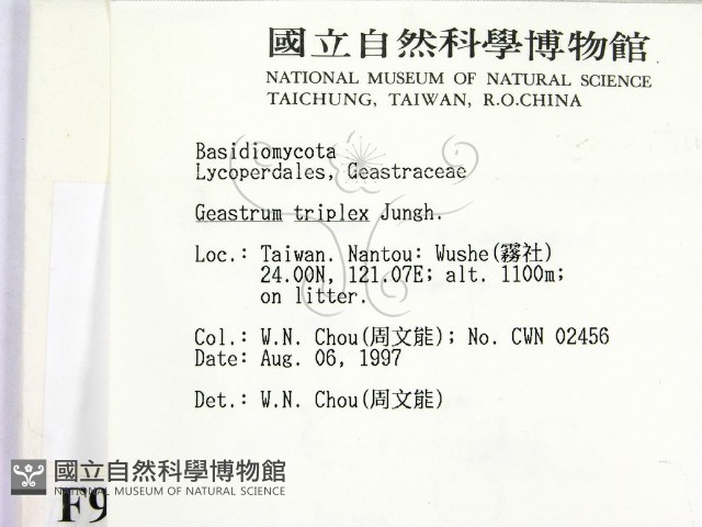 登錄號:F0009644藏品圖，第2張