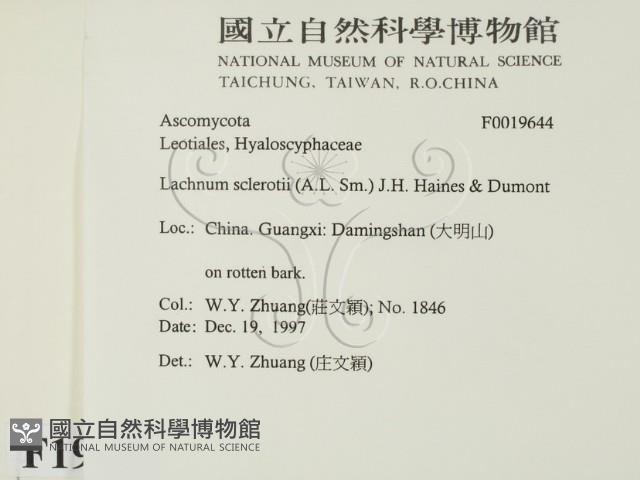 登錄號:F0019644藏品圖，第2張
