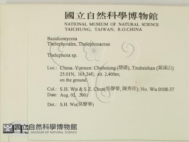 革菌屬藏品圖，第2張