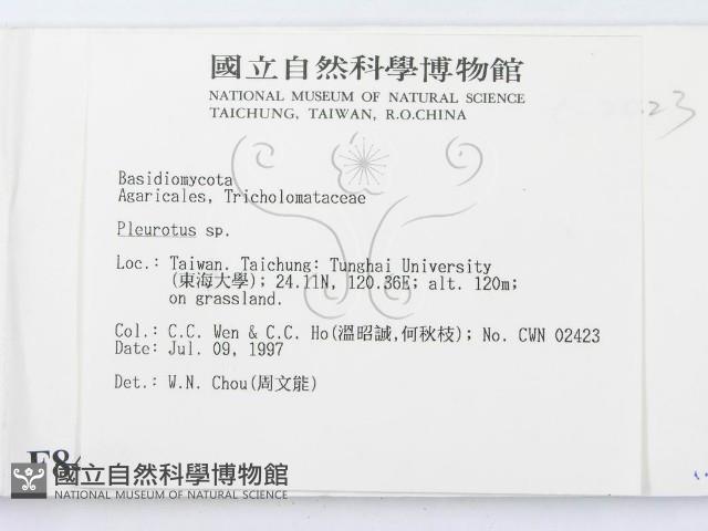 登錄號:F0008444藏品圖，第2張