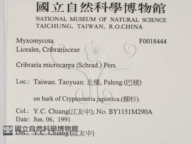 登錄號:F0018444藏品圖，第2張