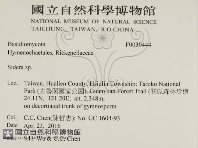 登錄號:F0030444藏品圖，第2張