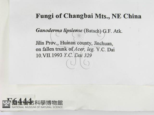 登錄號:F0006444藏品圖，第2張