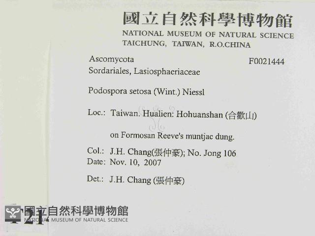 登錄號:F0021444藏品圖，第2張