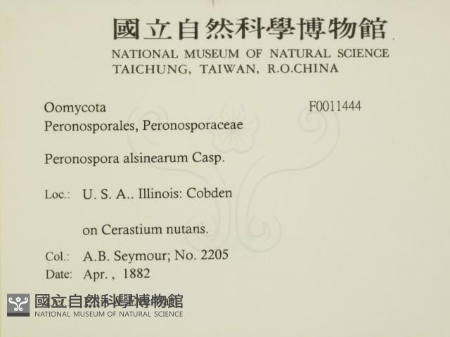 登錄號:F0011444藏品圖，第2張