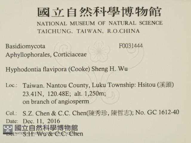 登錄號:F0031444藏品圖，第2張