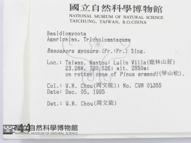 登錄號:F0004444藏品圖，第2張