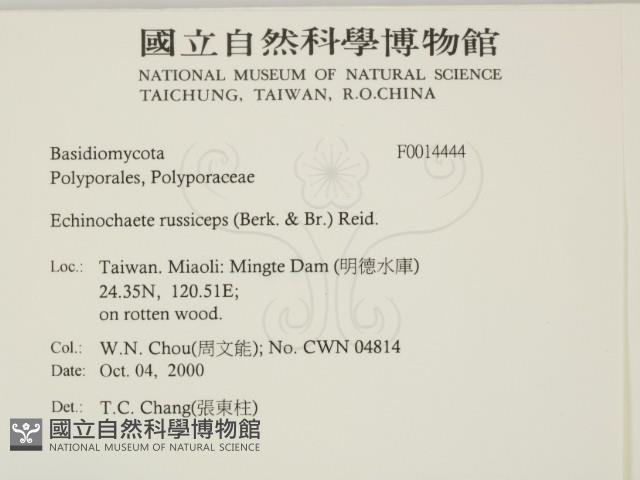 登錄號:F0014444藏品圖，第2張