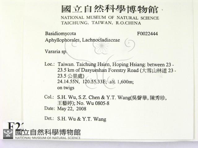 登錄號:F0022444藏品圖，第2張