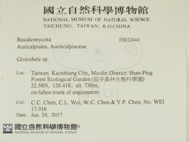 登錄號:F0032444藏品圖，第2張