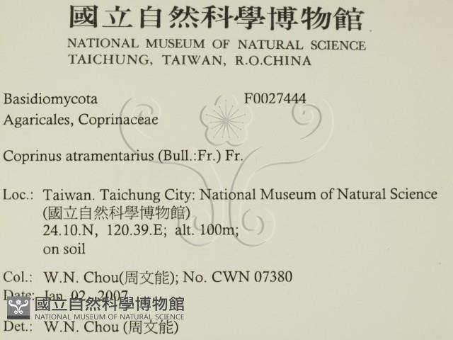 登錄號:F0027444藏品圖，第2張