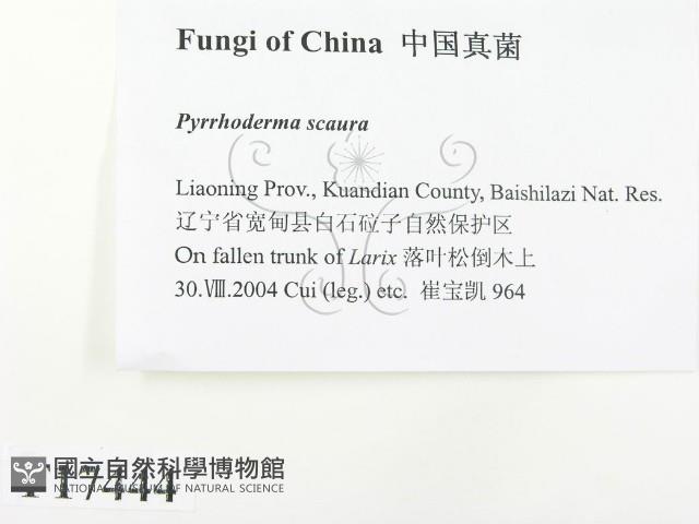 登錄號:F0017444藏品圖，第2張
