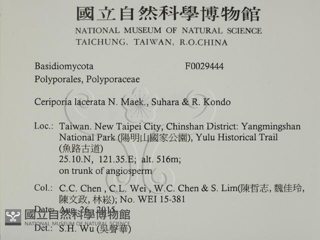 登錄號:F0029444藏品圖，第2張