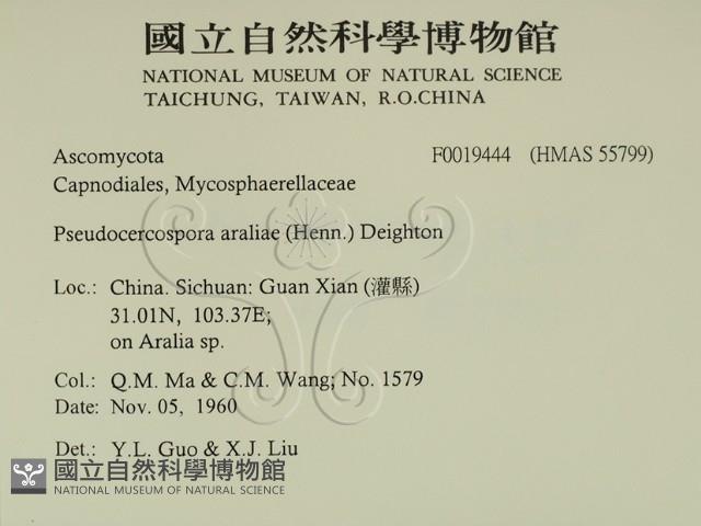 登錄號:F0019444藏品圖，第2張