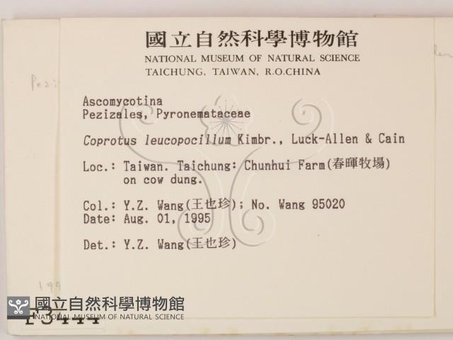 登錄號:F0003444藏品圖，第2張