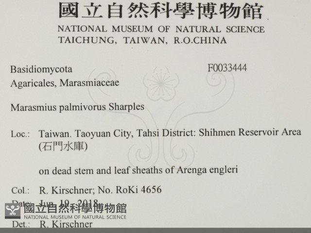 登錄號:F0033444藏品圖，第2張