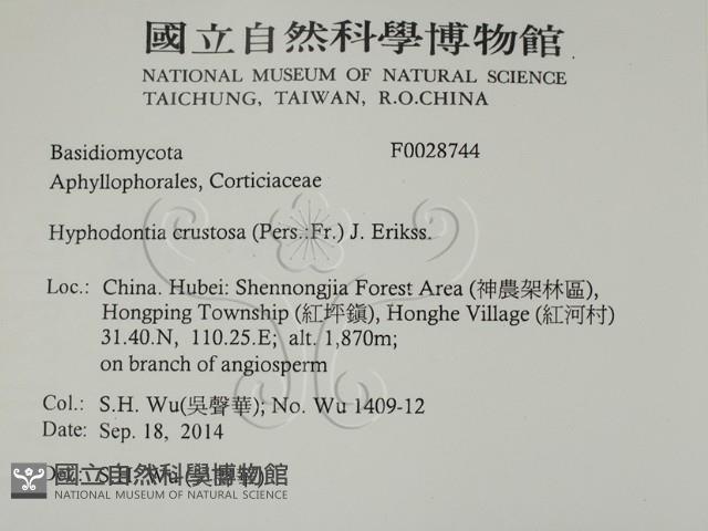 登錄號:F0028744藏品圖，第2張