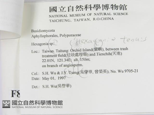 登錄號:F0008744藏品圖，第2張