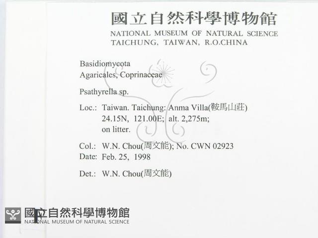 登錄號:F0010744藏品圖，第2張