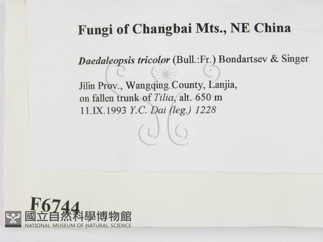 登錄號:F0006744藏品圖，第2張