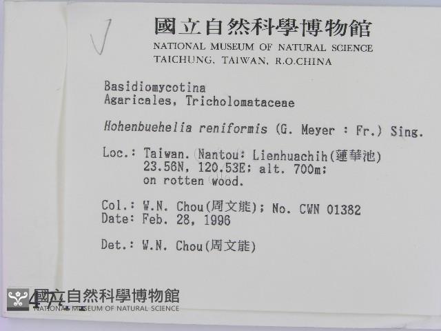 登錄號:F0004744藏品圖，第2張