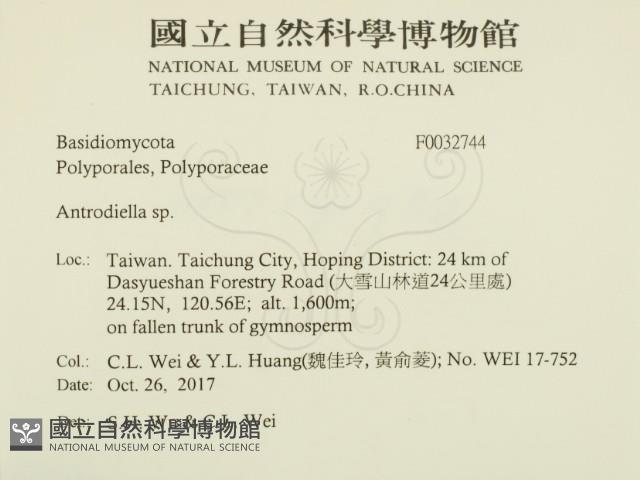 登錄號:F0032744藏品圖，第2張