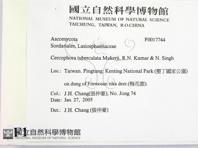 登錄號:F0017744藏品圖，第2張