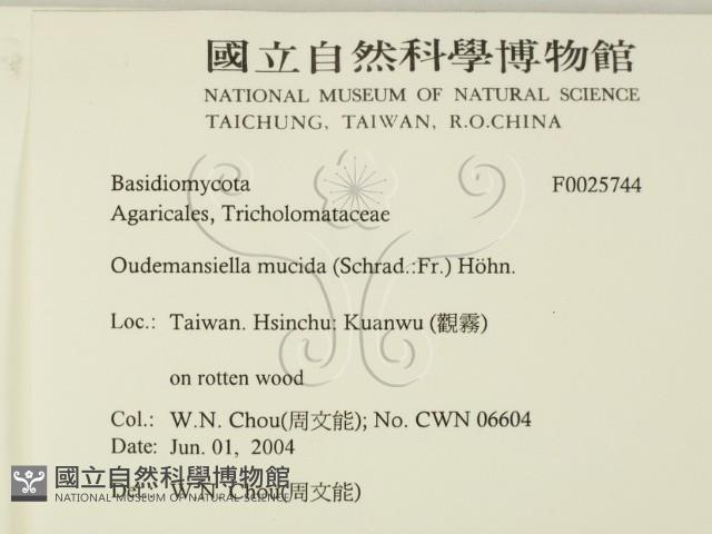 登錄號:F0025744藏品圖，第2張