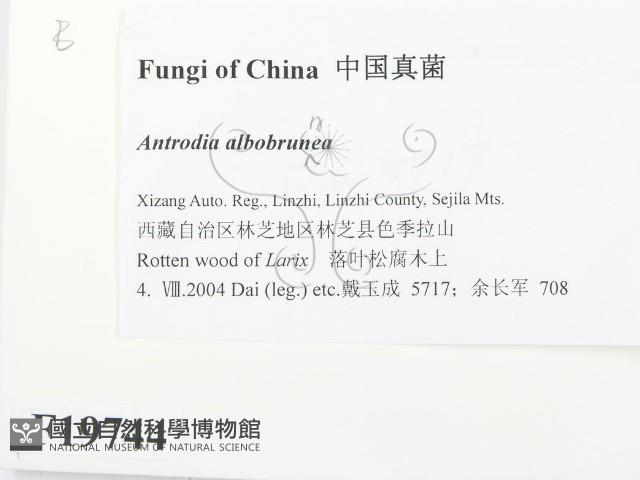 登錄號:F0019744藏品圖，第2張