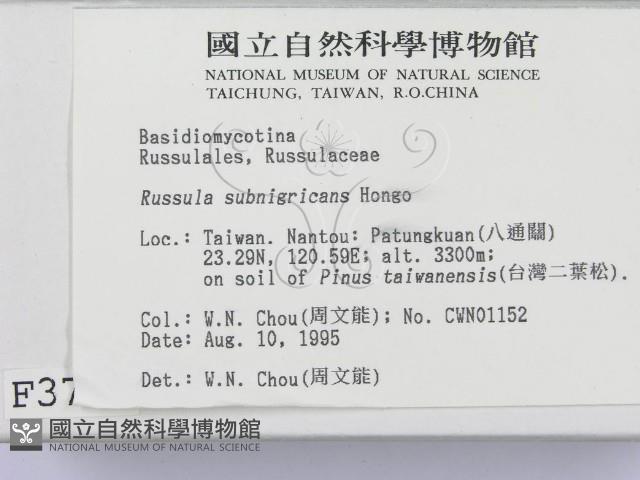 登錄號:F0003744藏品圖，第2張