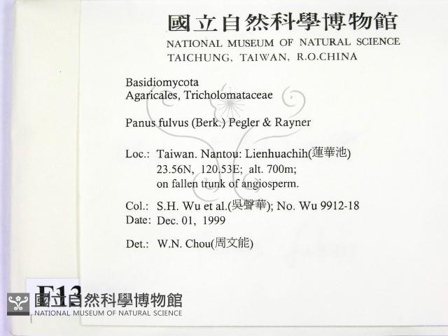 登錄號:F0013744藏品圖，第2張