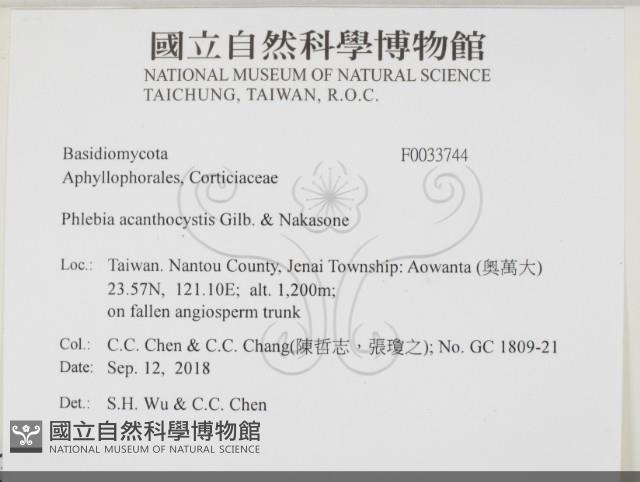 登錄號:F0033744藏品圖，第2張