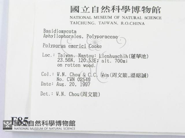 登錄號:F0008544藏品圖，第2張