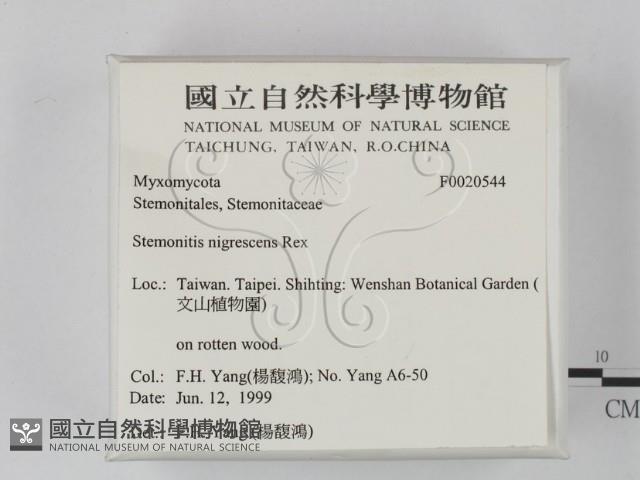 登錄號:F0020544藏品圖，第2張