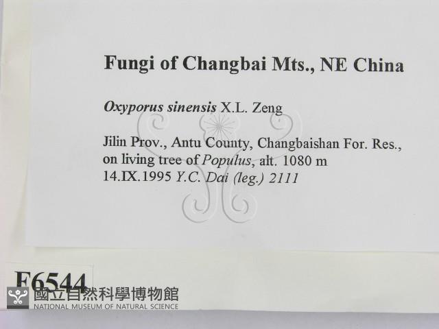 登錄號:F0006544藏品圖，第2張