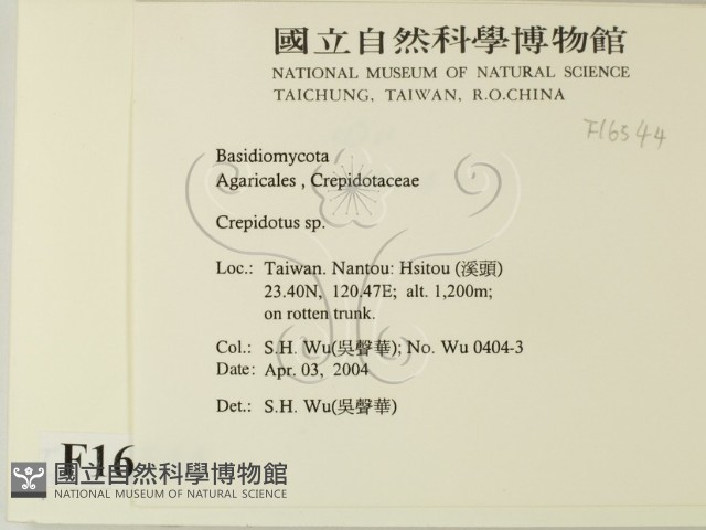 登錄號:F0016544藏品圖，第2張