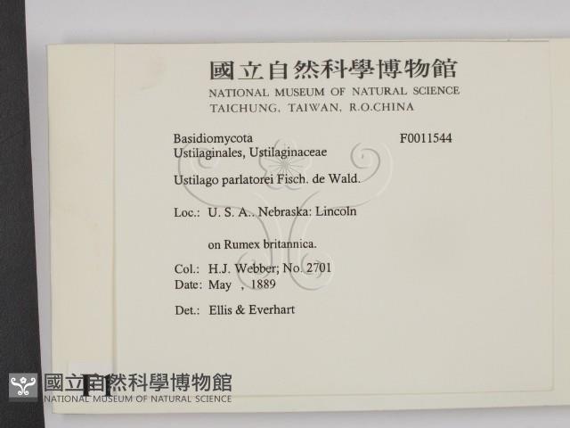 登錄號:F0011544藏品圖，第2張
