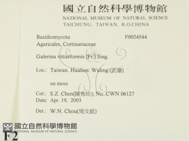 登錄號:F0024544藏品圖，第2張